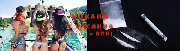 прущие крисы Тайга
