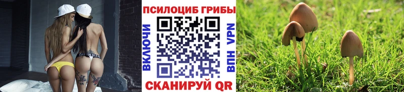 Галлюциногенные грибы Cubensis Северобайкальск