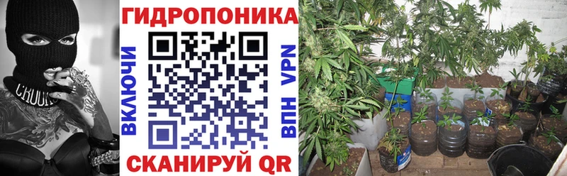 где найти наркотики  площадка телеграм  Марихуана Bruce Banner  Северобайкальск 